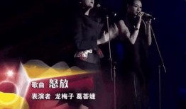 汪峰爆料前妻视频,揭秘婚姻背后的真相