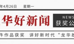 龙华新闻爆料,独家爆料，揭秘事件背后真相