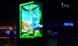 爆料豪豪橱窗视频