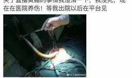 黄鳝女视频在线观看,揭秘网络直播背后的惊人真相