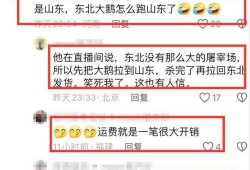 爆料大鹅解说视频网易,网易爆款背后的秘密