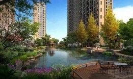 陈先生爆料小区视频大全,小区视频大全背后的真实故事