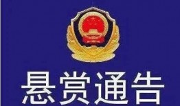 梅州最新的爆料案件,揭秘背后惊人真相