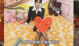 假女网红爆料视频大全网站,网络迷雾中的真相追踪