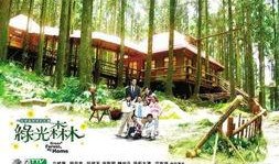 绿光森林手机在线观看,手机在线观看，探寻奇幻森林的绿意盎然