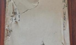 爆料大连探店视频最新版,最新版视频带你领略美食新地标