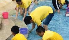 抓鱼吃瓜视频在线观看免费,在线观看视频盛宴