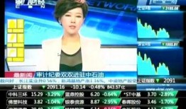 石油高管爆料视频播放,视频曝光行业内幕