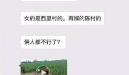 爆料石家庄今日资讯视频,资讯视频爆料最新动态一览