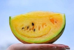 云南网红吃瓜视频,揭秘当地特色美食与风土人情