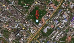 九江柴桑区最新爆料,揭秘神秘事件背后的真相