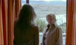 孤零飘落燕在线观看,一场穿越时空的浪漫邂逅