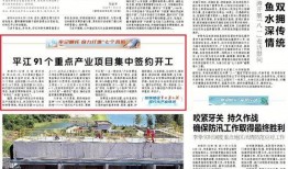 岳阳最新新闻爆料网站,揭秘本地热点事件，追踪社会动态