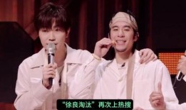 网友爆料淘汰徐良视频是真的吗,淘汰徐良视频真实性揭秘