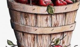 爆料水果桶视频下载,独家爆料带你轻松获取热门内容