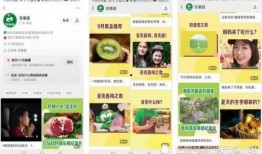 百果园爆料视频大全集,揭秘水果界的秘密与奇闻