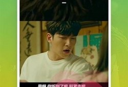 王海鸥爆料视频大全下载,揭秘幕后真相，带你走进事件核心