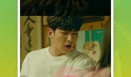 王海鸥爆料视频大全下载,揭秘幕后真相，带你走进事件核心