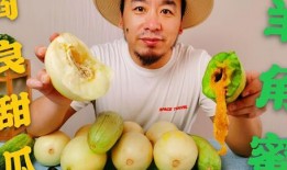 网红吃瓜评论怎么写的好看,趣味横生，笑料百出，揭秘娱乐圈幕后故事