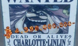 海贼王爆料赏金画面视频,神秘角色引热议！