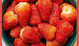 丹东草莓爆料视频,口感鲜美，品质上乘，带你领略东北草莓魅力
