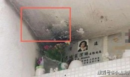 爆料张核子墓碑视频,一段尘封的历史与争议