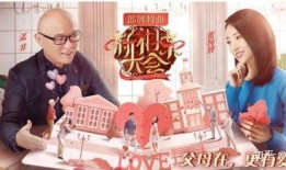 江苏爆料相亲视频播放,揭秘现代婚恋观碰撞瞬间