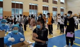 青山湖爆料盗窃最新消息,警方全力追查，嫌疑人身份曝光