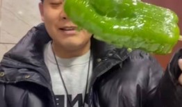 网红黑妹吃瓜,揭秘网红圈幕后故事