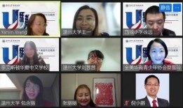 大灰人美国爆料视频在线观看,在线观看背后的真相与内幕