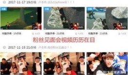 刘晶爆料内容介绍视频播放,视频播放背后的惊人真相
