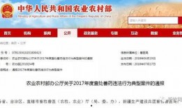 网站爆料视频犯法吗判几年,判罚年限揭秘