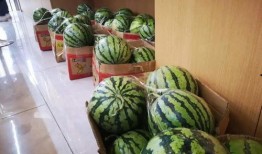 网红吃瓜送什么,揭秘热门礼物清单！