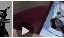 公主爆料视频在线观看,视频内容大起底，精彩瞬间不容错过