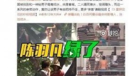 大勇爆料视频大全最新版,揭秘热点事件，洞察社会真相