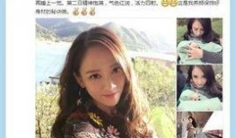 独家爆料陈乔恩视频大全,独家爆料背后的真相揭秘