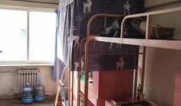 318宿舍在线观看,青春记忆里的温馨时光