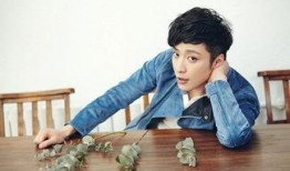 天涯娱乐圈爆料乔任梁,娱乐圈背后的悲伤与反思