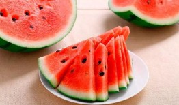 吃瓜系列雪圈网红