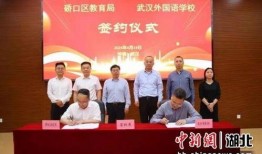 武汉日签最新爆料新闻网,揭秘背后惊人真相！