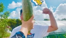 网红吃瓜送什么,揭秘热门礼物清单！