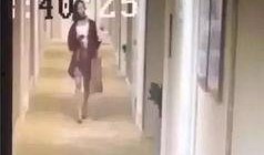 陈先生爆料小区视频大全,小区视频大全背后的真实故事