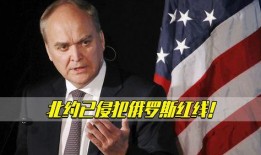 俄罗斯大使爆料新闻,揭秘重大国际新闻背后真相