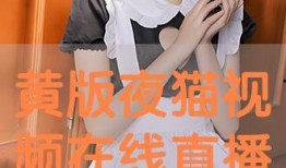 夜猫免费视频在线观看,畅享深夜娱乐盛宴