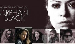 黑孤在线观看,在线揭秘神秘特工传奇