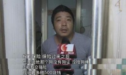 深圳一女士爆料被抓视频,揭秘背后惊人真相