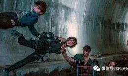 末日时在做什么在线观看,揭秘末世生存秘籍