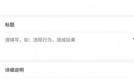 爆料新闻简介怎么写啊,爆料新闻背后的真相与影响