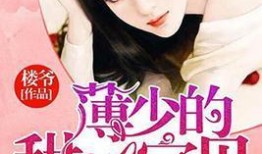 甜心宝贝爆料视频大全,视频大全揭秘幕后故事