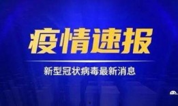 强盛集团爆料事件视频最新,揭秘背后惊人真相